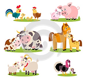 Big set isolated farm birds, animals. Vector collection funny animals, mothers and their children.