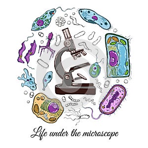 Big set with microscope and different microorganisms