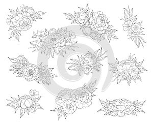 Big set of peony flowers and leaves for making tattoo compositions. Black linear illustration isolated on a white