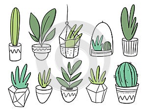 Big Set plants in white pots. Vector illustration in cartoon style