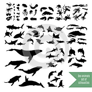 The big set of sea animals vector icons and silhouettes.