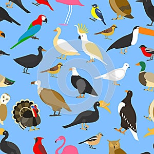 Big set of tropical, domestic and other birds