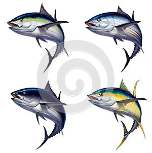 Big set of tuna fish isolated realistic illustration.