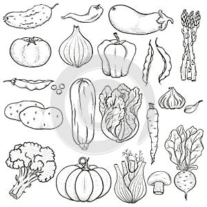 Big set of vegetables