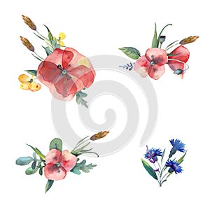 Big set of watercolor elements - leaves, herbs, flowers. Botanical collection include poppies, cornflowers, buttercups, spikelets.