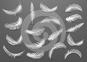 Big set of White Realistic Different Fluffy Twirled Falling Feathers Isolated on Transparency Grid Background. photo