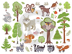 Big set of wild forest animals birds and trees. Cartoon forest on white background