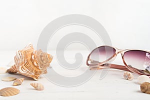 Big shell and sunglasses like summer vactions concept with copy