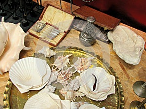 Big shells and antiquities for sale in a flea market