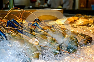 The big shrimp in the ice