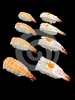 big shrimp sushi japanese