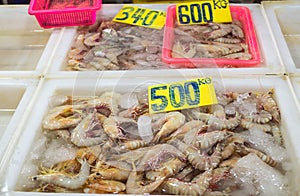Big shrimps in ice with prices at fish market in Thailand