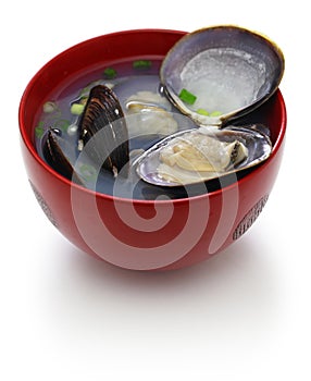 Big size japanese basket clams soup, japanese cuisine