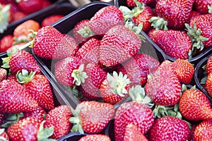 Big size strawberriies in an organic market.