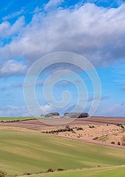 Big sky and green fields