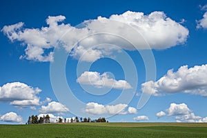 Big Sky in the Palouse