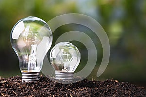 Big and Small Bulb Growing