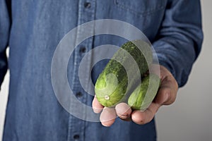 Big and small cucumber in the hand of a man