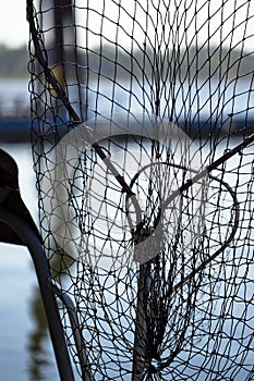 Big and small fishing nets for hooking fish