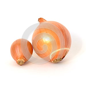 Big and small onions with peel isolated on white