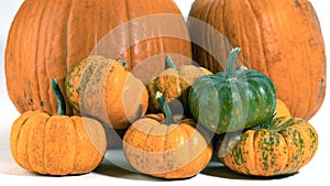 big and small, orange and green pumpkins on white background. Photo shoot for agriculture competition. Decoration for Halloween