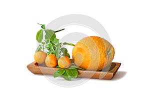 Big and small oranges in a bowl isolated on white background