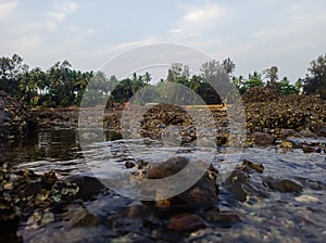 Big And Small Rocks In The Mountain Lake