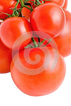 Big and small tomatoes on branch isolated