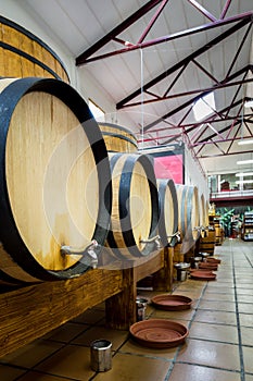 Big and small wine casks.