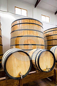 Big and small wine casks.
