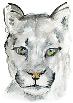 Big Snow Cat Watercolor Portrait