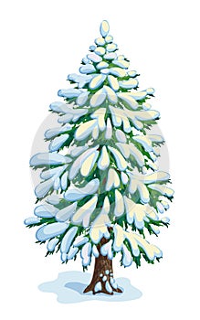 Big snow-covered fir tree. Vector dwawing