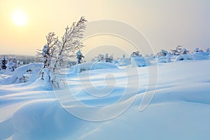 Big Snow Northern Winter Sunset Landscape