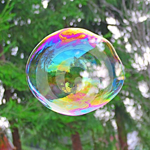 Big soap bubble