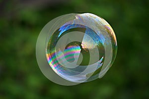 Big soap bubble on green