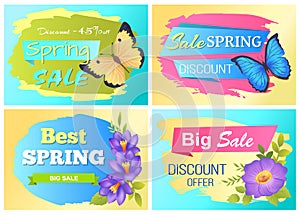 Big Spring Sale Advert Labels Flowers Butterfly