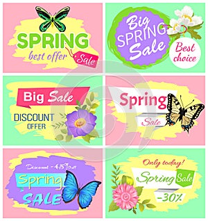 Big Spring Sale Collection Vector Illustration