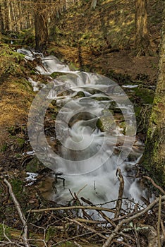 Big spring water on nice creek in spring day in Krusne mountains