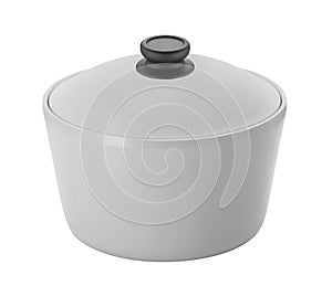 Big stainless steel saucepan