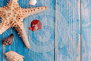 Big starfish and seashells on blue wood textured background