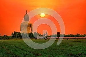 Big Statue buddha image at sunset in southen of Thailand