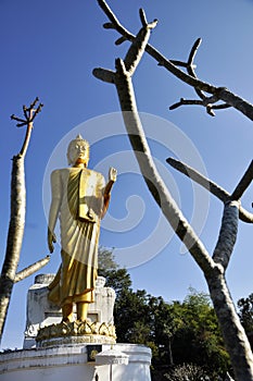 Big Statue Buddha Stand Outdoor Branch