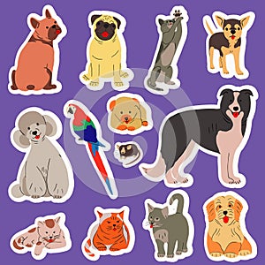 Big stickers collection with cute domestic pets portrait.