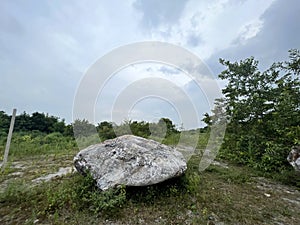 big stone in the forest