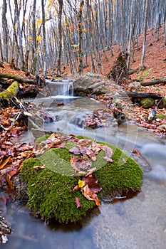 mountain brook in autumn forest