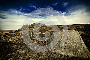 Big stone near the forest