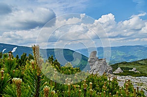 A big stone scaur, green hills and creeping pines in Carpathian mountains in the summer. Mountains landscape background photo