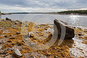 Big stone on seacoast during outflow . landscape