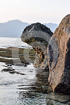 Big stone in the trbig stone in Tansparent sea water with plant and sand, Asia Indonesia