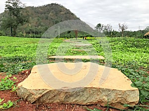 Big stone way on garden at park